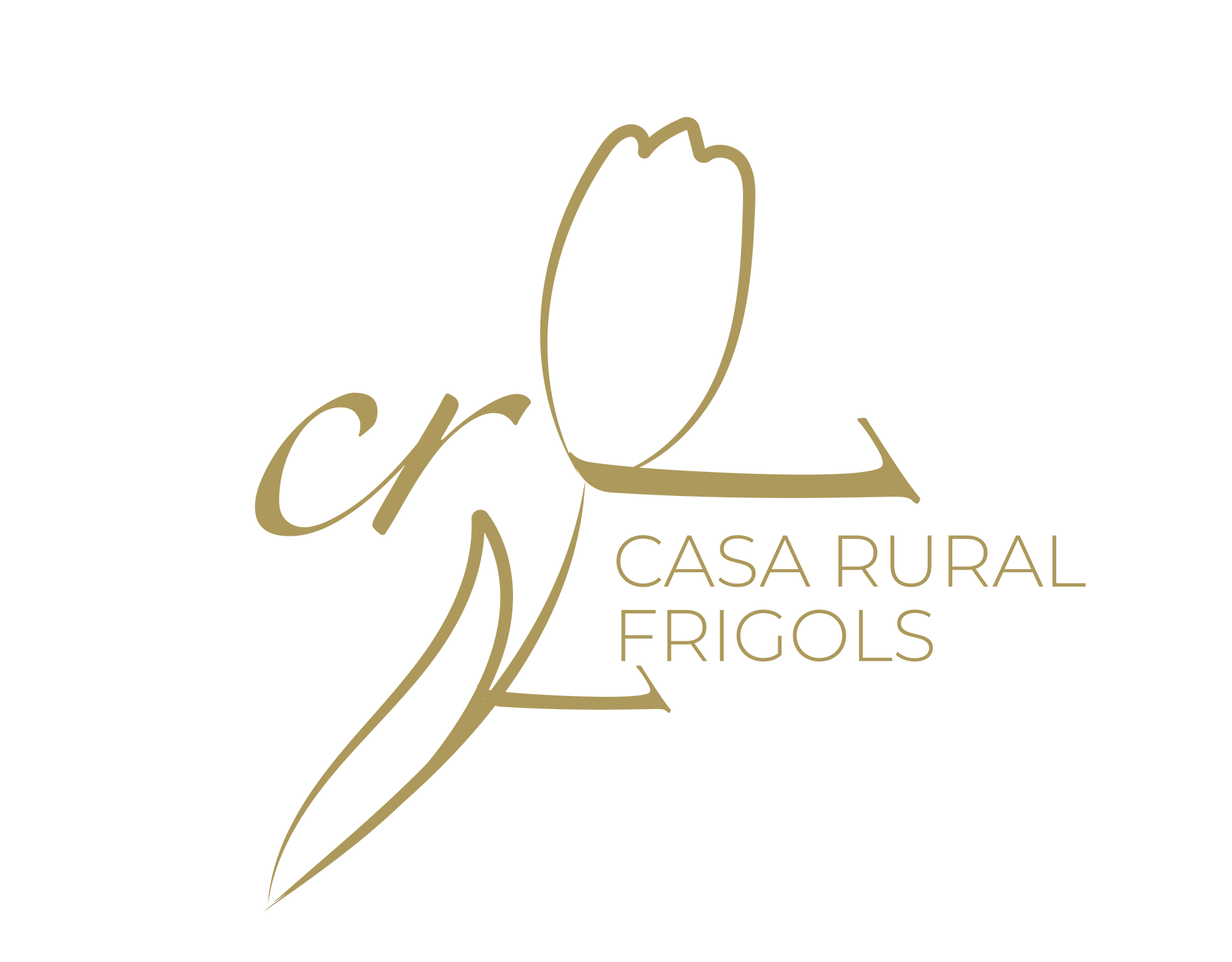 Diseño Gráfico - Branding